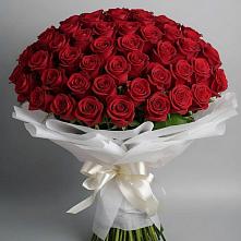 Букет 101 Красная роза Блэк Мэджик в Выльгорте