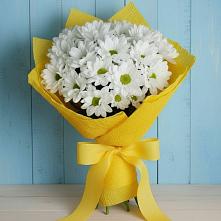 Букет цветов из:  Хризантемы #REPLACE_PRED# Выльгорте