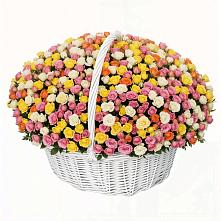 Премиум букет из: Розы в Выльгорте