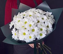 Букет цветов из:  Хризантемы #REPLACE_PRED# Выльгорте