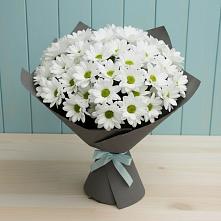 Букет цветов из:  Хризантемы #REPLACE_PRED# Выльгорте