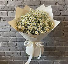 Букет цветов из:  Ромашки в Выльгорте