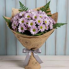 Букет цветов из:  Хризантемы в Выльгорте