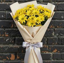 Букет цветов из:  Хризантемы в Выльгорте