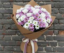 Букет цветов из:  Хризантемы в Выльгорте