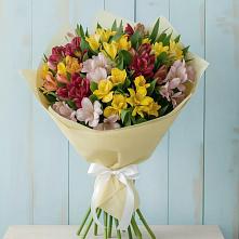 Букет цветов из:  Альстромерии в Выльгорте