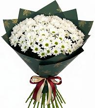 Букет цветов из:  Хризантемы в Выльгорте