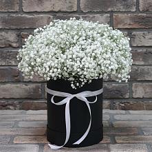 Цветочная композиция из Гипсофила в шляпной коробке #REPLACE_PRED# Выльгорте