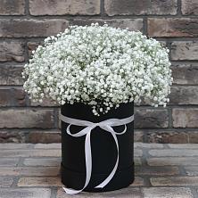 Цветочная композиция из Гипсофила в шляпной коробке в Выльгорте