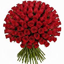Букет Красные розы Чери Лав в Выльгорте
